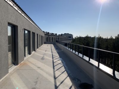 IMG_6646