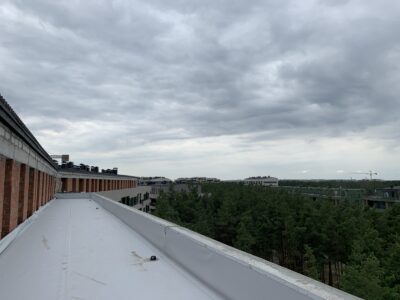 IMG_0564